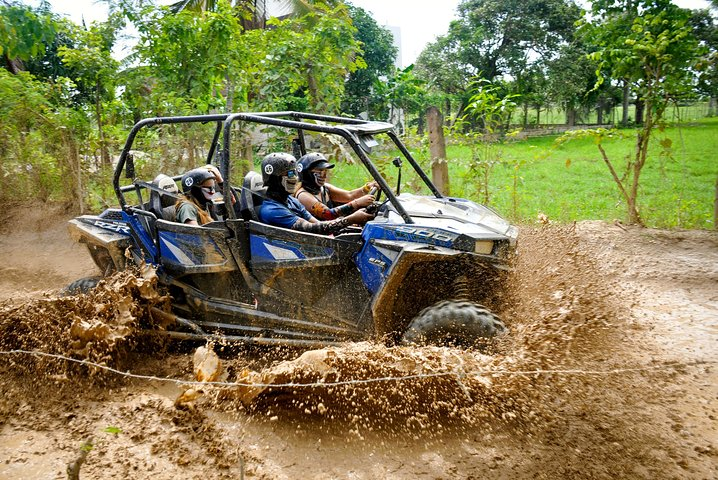 Polaris Familiar - Photo 1 of 3